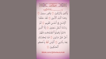 سورة التين _ تلاوة عطرة تريح الأعصاب بصوت القارئ #علاء_عقل #قران_كريم