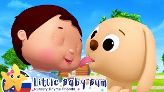 Учим животных! | Мои первые уроки | Детские песни | Little Baby Bum Учим животных! | Мои первые уроки | Детские песни | Little Baby Bum