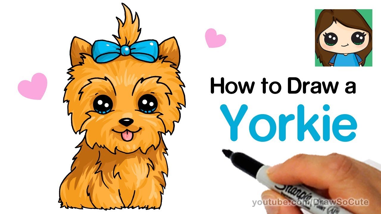 How to Draw a Yorkie Easy | JoJo Siwa\'s BowBow - YouTube