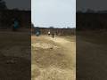 #Short # cricket