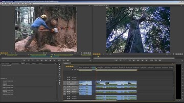 Dalet Media Asset Management integration with Adobe Premiere Pro CS6