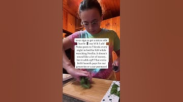 A side hustle like this has been a game changer for us #sidehustle #makemoneyonline #noise #cat