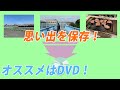 大切な思い出の保存にはDVDがオススメ！