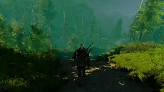 Witcher 3 - Witcher 2 Overhaul + over 50 mods - PART II