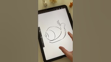 Drawing ink snail in #procreate #digitalart #inkbrush #digitaldrawing #procreatedrawing