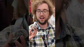 Testimonials on non alcoholic beers brewed with Fermentis SafBrew™ LA-01 |  #nolo #brewingbeer