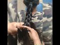 very easy 5 strands braid hair style