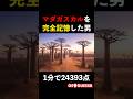マダガスカルを完全記憶した男 ~1分でほぼ満点~ #geoguessr