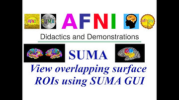 [AFNI Academy] View overlapping surface ROIs using SUMA GUI