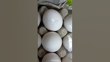 Blinkit reviews: Damaged items | PissedConsumer.com