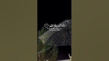 القارئ | ماهر المعيقلي 🖤 سـورة | الضحى #قرآن 🎧