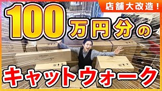 【初】猫達の遊び場を作ってみた100万円分のキャットウォークで店舗大改造