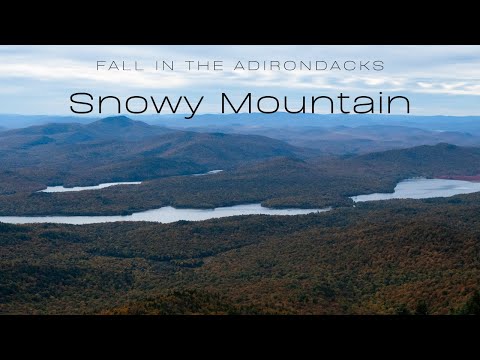 Fall In The
