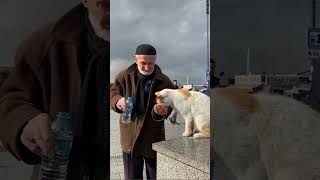 Insan Kalbiyle Yol Almali. Gerisi Dağ Olur Heybesine Düşer .