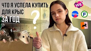 ✧ Что купить для крыс перед их появлением? ✧ Весь список моих ошибок и радостей