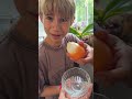 а мы заморозили Чибако 😜#врек#viralshorts#freefire#news#edit#usa#instagram#nature#motivation