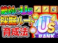 【ウマ娘】絶対にUSを作りたい人へ！採掘ルート/デッキ編成/最適因子/育成法/立ち回り/練習踏み方/保科お出かけ 新シナリオ 攻略解説【Umamusume ウマ娘プリティーダービー イクノディクタス