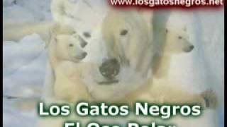 Video thumbnail of "LOS GATOS NEGROS EL OSO POLAR"