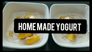 STOP BUYING YOGURT and MAKE YOUR OWN AT HOME |Using two Ingredients