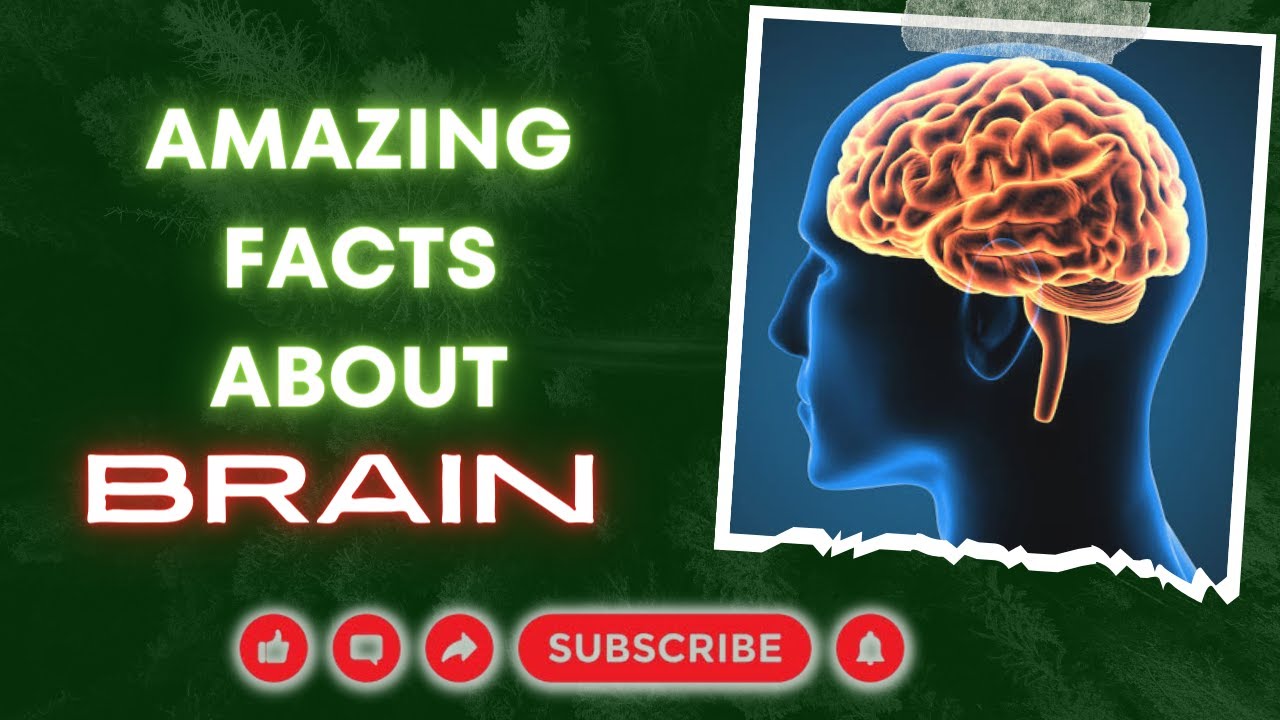 Surprising Brain Facts That Will Blow Your Mind - YouTube