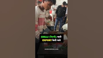 How to Export Chilli 🌶️.              #importexport #shubhamrode