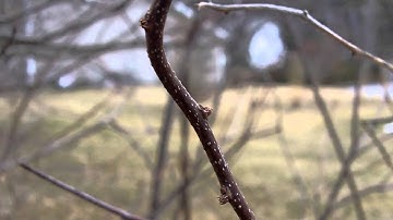 HOW TO FAKE DEPTH OF FIELD WITHOUT AN EXPENSIVE CAMERA