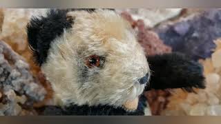 Today A Vintage Steiff Panda Bear Arrived At My House...