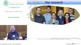 [Conférence] - G. BURGER - Cryptic genes in mitochondria - Académie des sciences