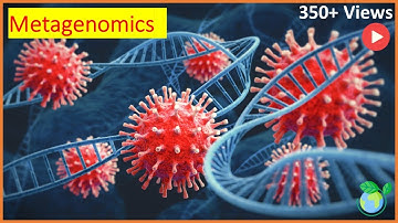 Navigating Complexity: Essential Metagenomics Insights in 6 Minutes