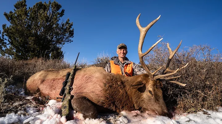 Elk Talk Live! | EP-83
