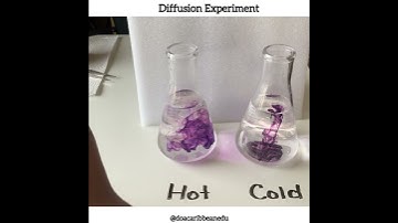 Diffusion Experiment|CSEC Biology