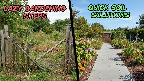Fix Your Soil NOW: 5 Lazy Steps!