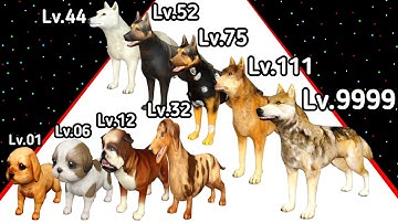 (2025) Paw To Alpha Evolution Game Level Up Dog Max Level 3D Gameplay