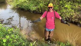 Crossin T’s & Dottin  I’s on the trapline set for nuisance work!! The flooding STOPS HERE!!