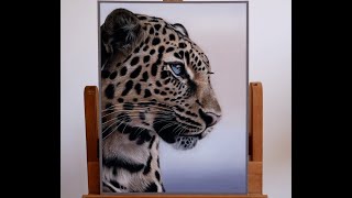 Leopard Drawing (Gerçekçi Leopar Çizimi) | Realistic Pastel Art Tutorial