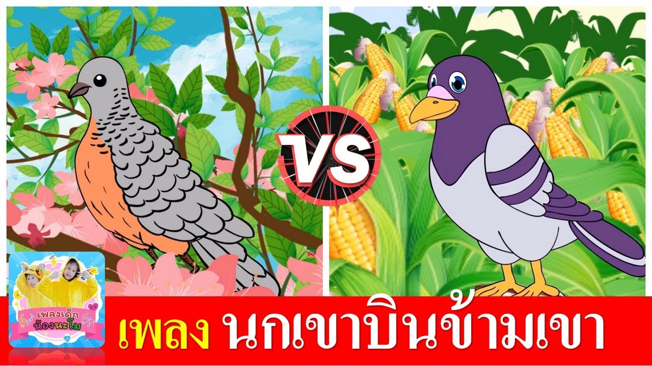 เพลงเด็ก นกเขาบินข้ามเขา  | นกเขา 2 เวอร์ชั่น ฟังยาว หัดร้องตามง่าย