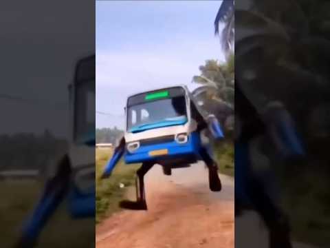 Fofão da Carreta