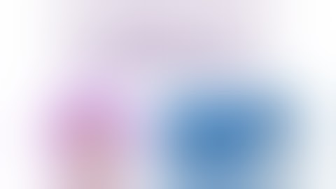 How to Setup a Kittycoin Token Wallet - Totorial Video