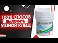 Лечение ушного клеща у кошек и собак проверенная схема