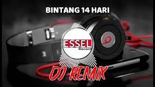 DJ REMIX - BINTANG 14 HARI