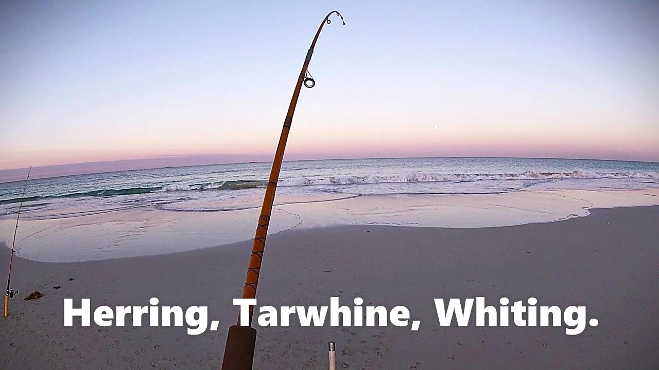Рыбалка с берега на винтажные удочки - сельдь, тарвайн и мерланг!
