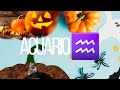 ♒️ ACUARIO. LECTURA DE AMOR 💌 PARA TI .