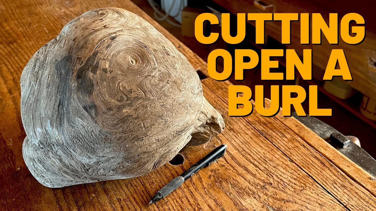 Cutting Open a Burl 