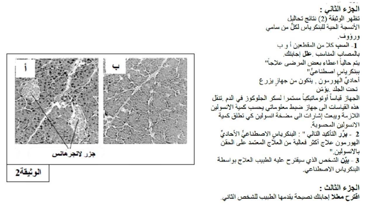 تمارين التنظيم الهرموني للسنة الثانية ثانوي