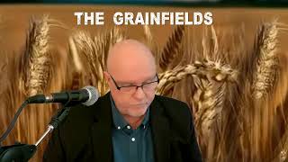 The Grainfields