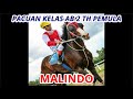 KUDA MALINDO ll JAWARA KELAS AB 2 TH PEMULA JARAK 1000 M ll SAWAHLUNTO DERBY 2019 ll KURIAK_KUSUIK