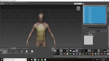 Mudbox 05 08 Create a Mesh from Curves