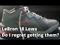 The Nike LeBron 18 Low Space Jam Edition updated review - do I regret buying them?