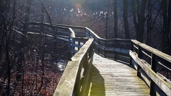 Sunshine Week 2021 Photo Submissions