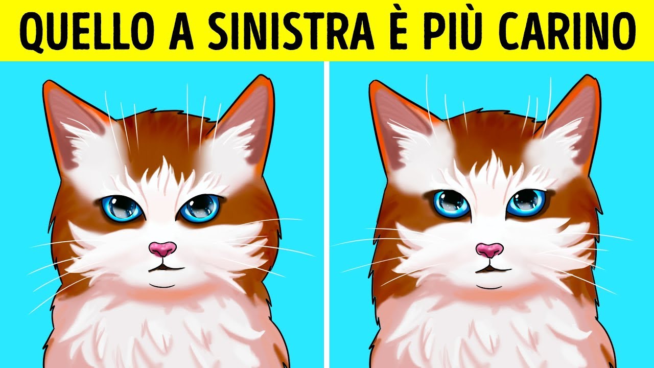 Perché certe cose ci sembrano più carine di altre 